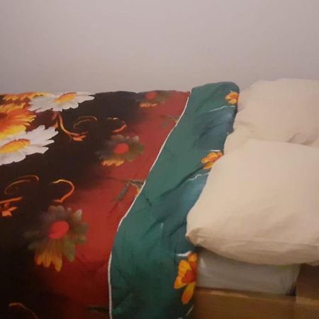 Lovely 1 Private Bedroom With Garden View 鹿特丹 外观 照片